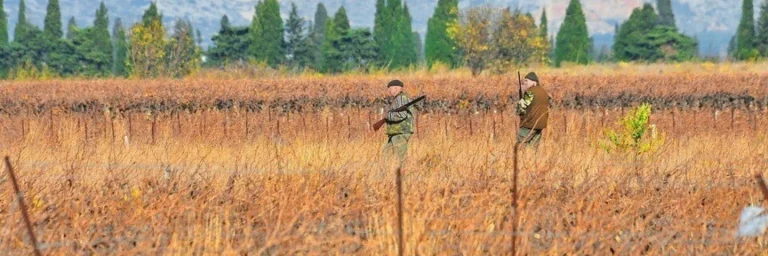 hunting
