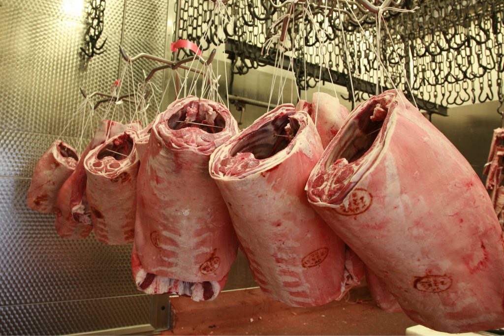 abattoir