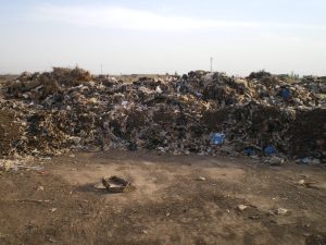 garbage drying