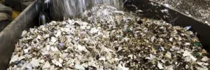 Shredded solid waste
