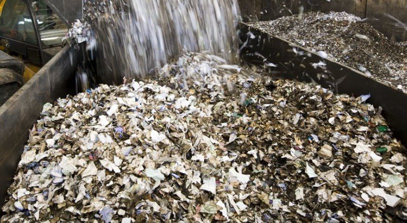 Shredded solid waste