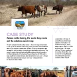 Zambia
