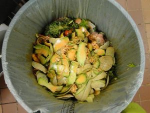 food waste