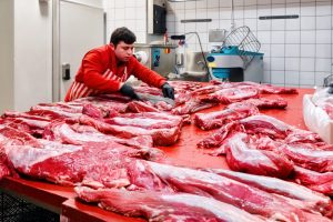 slaughter house