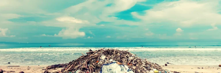 tourism waste